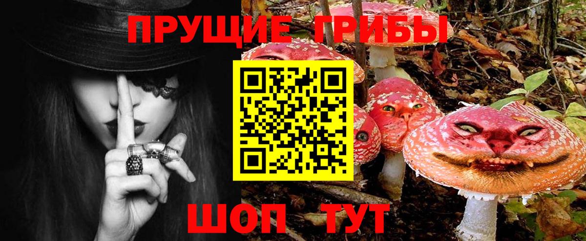 Псилоцибиновые грибы ЛСД Саров