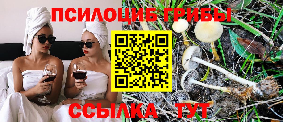 Саров  Галлюциногенные грибы MAGIC MUSHROOMS  Вход с VPN 